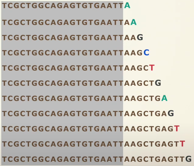 Раствор при секвенировании ДНК